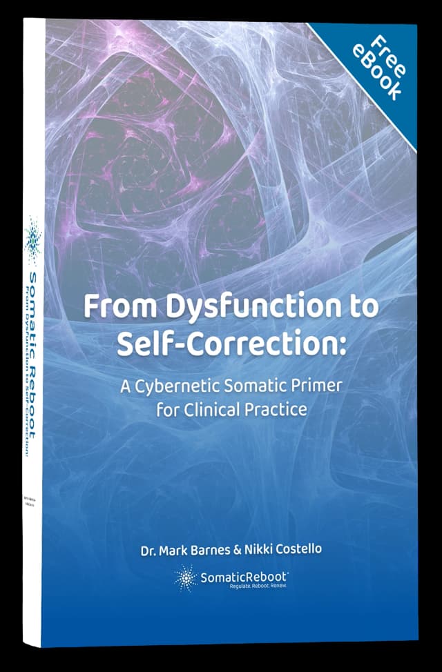 From Dysfunction to Self-Correction eBook cover